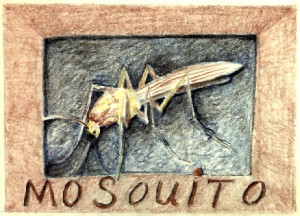 MOSQUITO